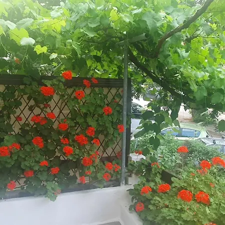 Relax Holistic House 빌라 Potamia (Thasos)