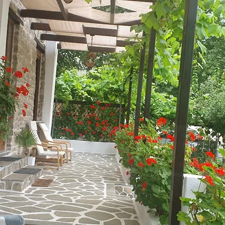 Relax Holistic House