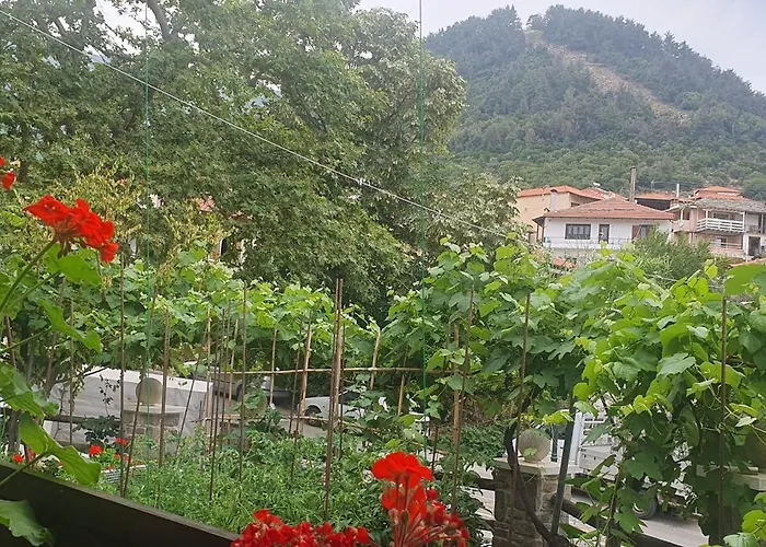 Relax Holistic House *